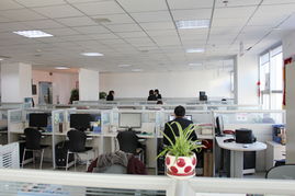 臨沂網(wǎng)站建設與全網(wǎng)優(yōu)化推廣 鼎基信息技術的線上運營之道